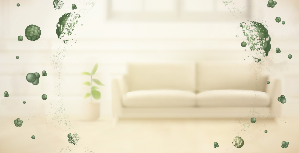 Helping keep germs & bacteria out of your home